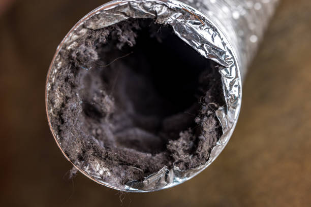 Best Air Duct Cleaning Cost  in Wagon Wheel, AZ